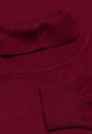 Водолазка JL-2280 bordo BF