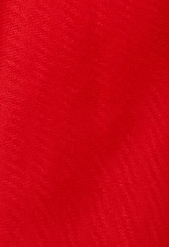 ГалстукNP красный