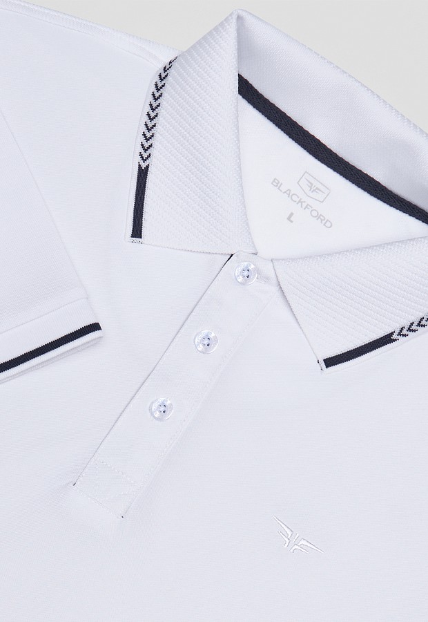 Поло DV-TS-GBG white/blue