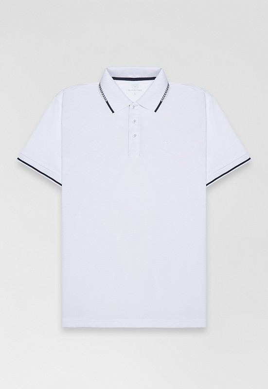 Поло DV-TS-GBG white/blue