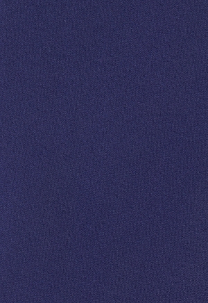 ГалстукNP синий