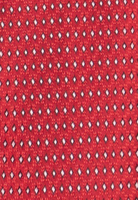 Галстук DVS-24.23