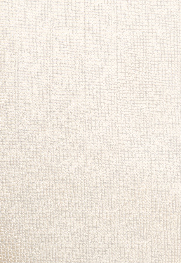 Галстук BF-215