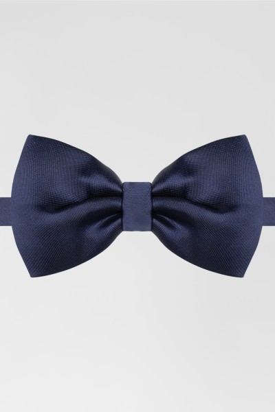 Бабочка RG синий