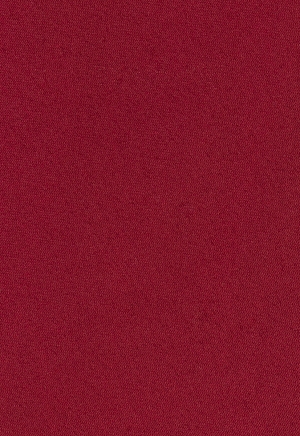 ГалстукNP бордо 7,5