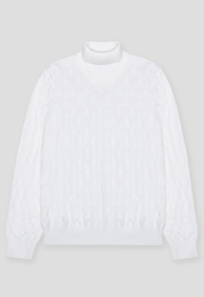 Водолазка BTG-221006-S003