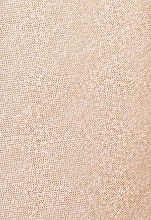 Галстук BF-32