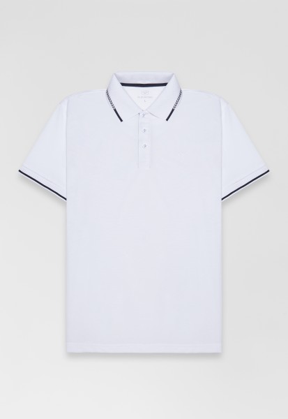 Поло DV-TS-GBG white/blue