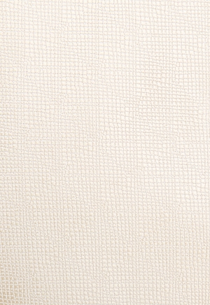 Галстук BF-215