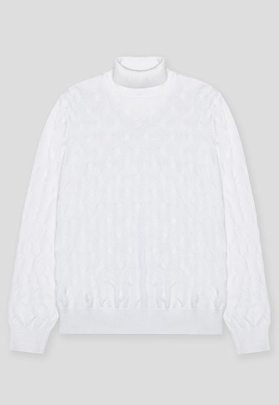 Водолазка BTG-221006-S003