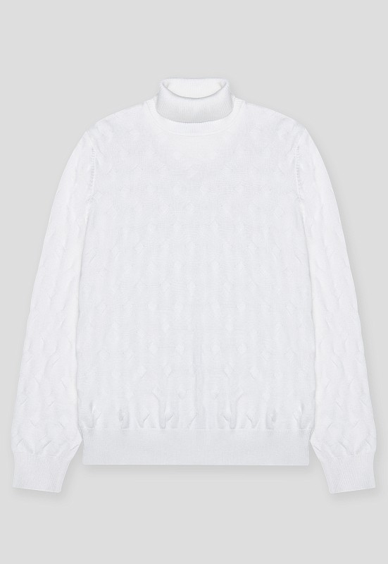 Водолазка BTG-221006-S003