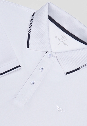 Поло DV-TS-GBG white/blue