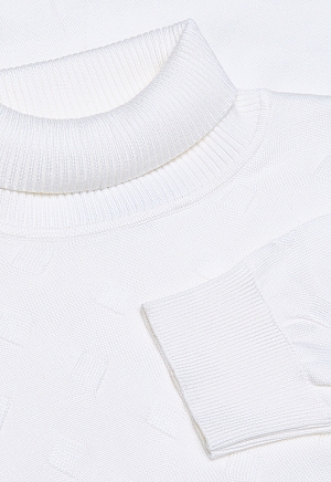 Водолазка BTG-221006-S003