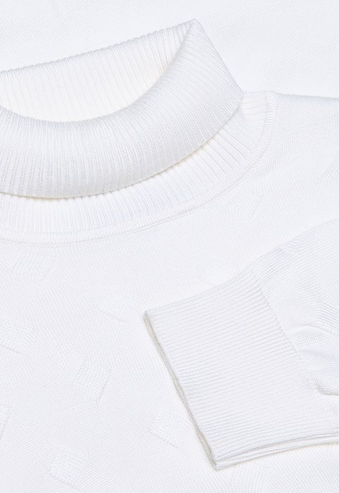 Водолазка BTG-221006-S003