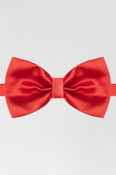 Бабочка RG красный