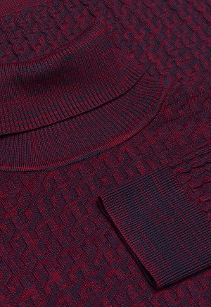 Водолазка BTG-221006-5040-S013