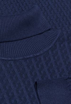 Водолазка BTG-221006-5040-S34