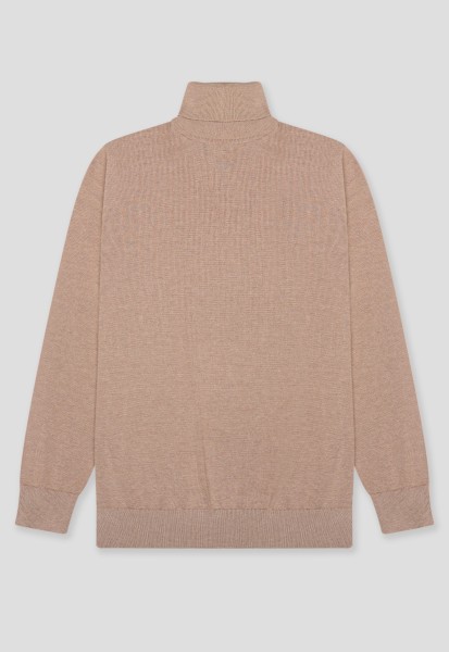 Водолазка BTG-Т009-brown