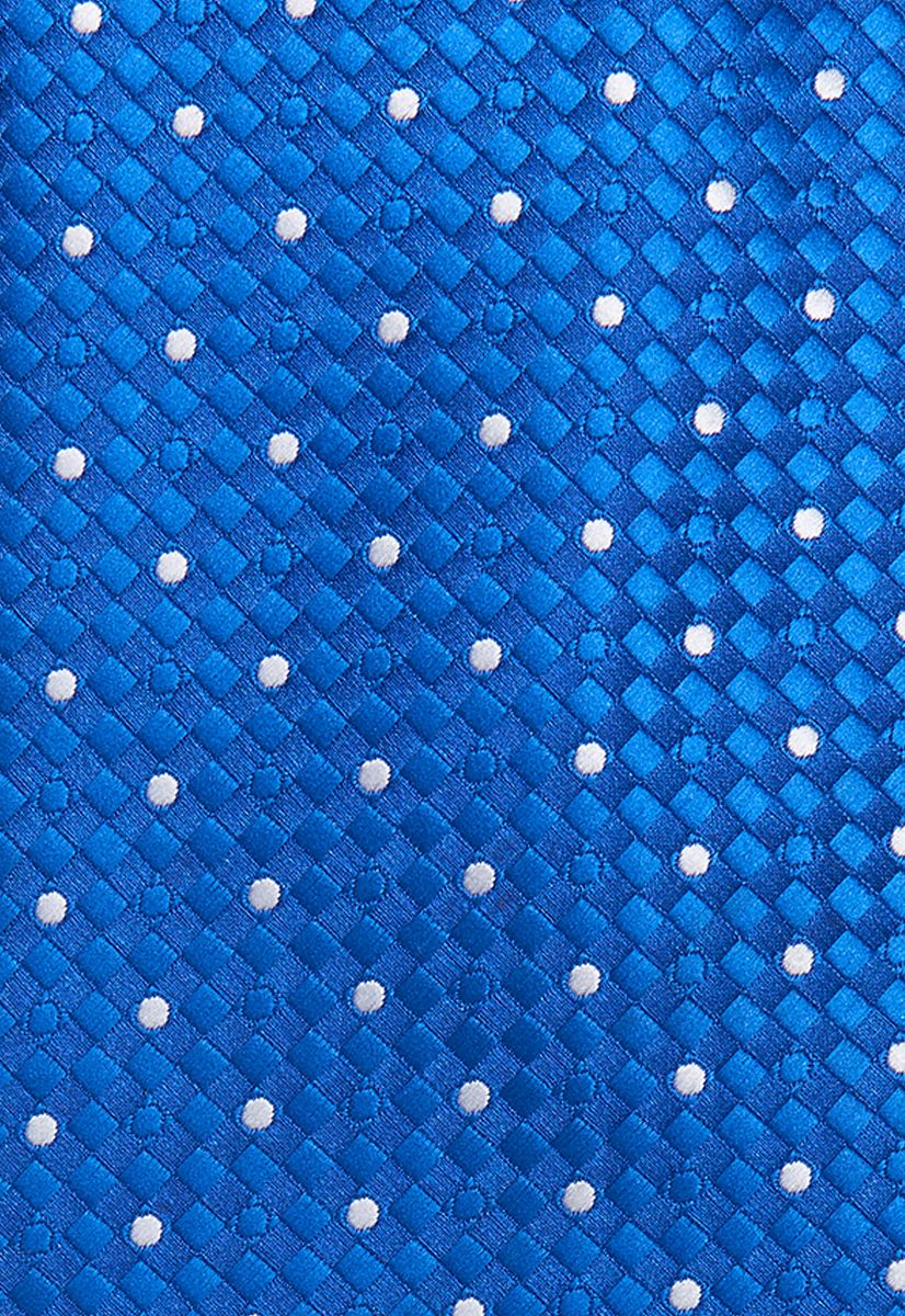 Галстук DV210