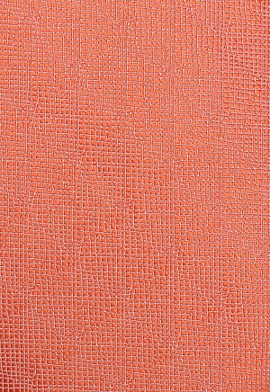 Галстук BF-213