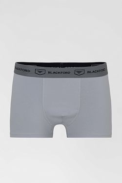 Трусы Боксеры UCL-BX0930/silver grey