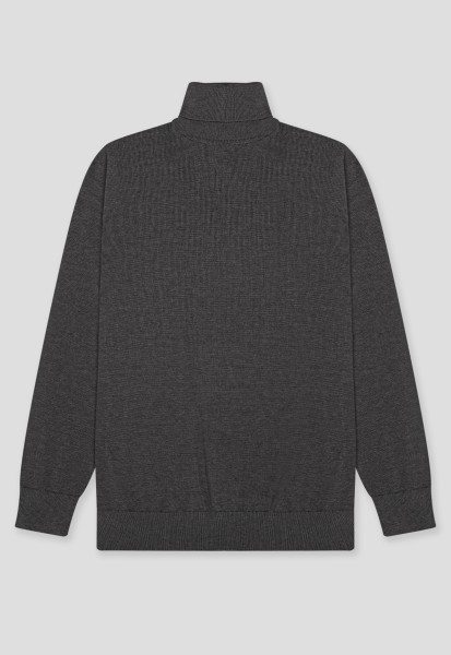 Водолазка BTG-Т009-MD21